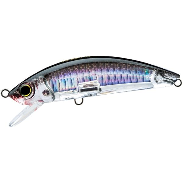 Amazon.com : Yo-Zuri R1212-C5 3D Inshore Minnow, Color, Red
